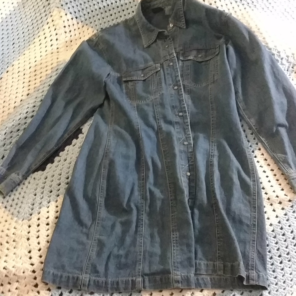 Lizwear Jean Dress